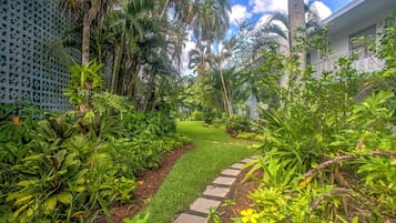 Apartamento (2 Bedrooms) | Interior