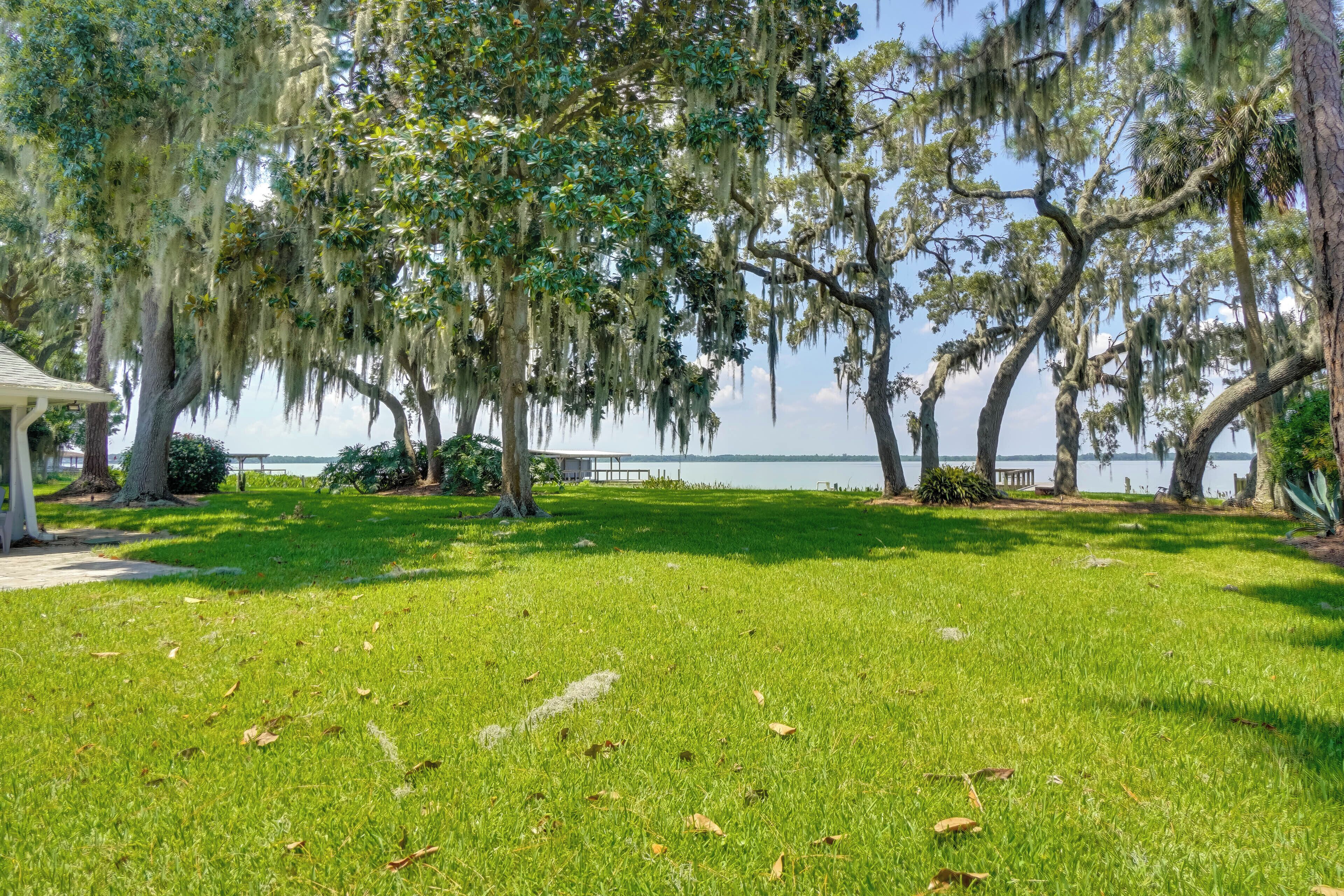 Un espace vert avec des arbres et une vue sur l’eau.