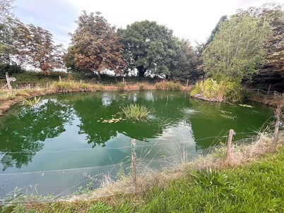 Woodland Camping pod With use of Campsite Bathroom