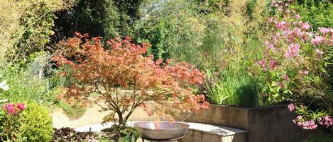 Cottage | Property grounds