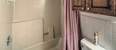 A bathroom with a shower, a toilet, and a cabinet.