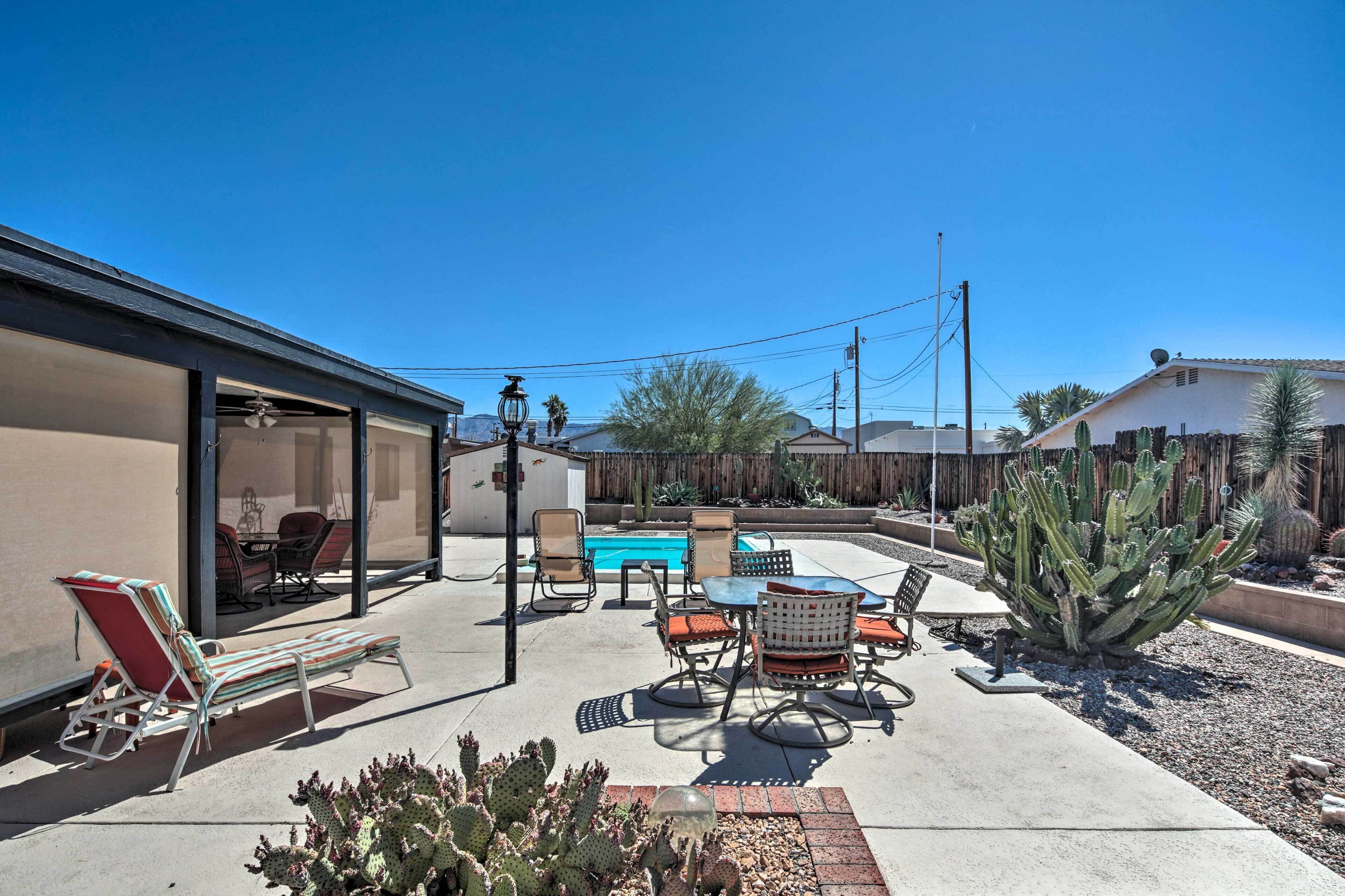 A backyard with a pool, lounge chairs, and a cactus garden.