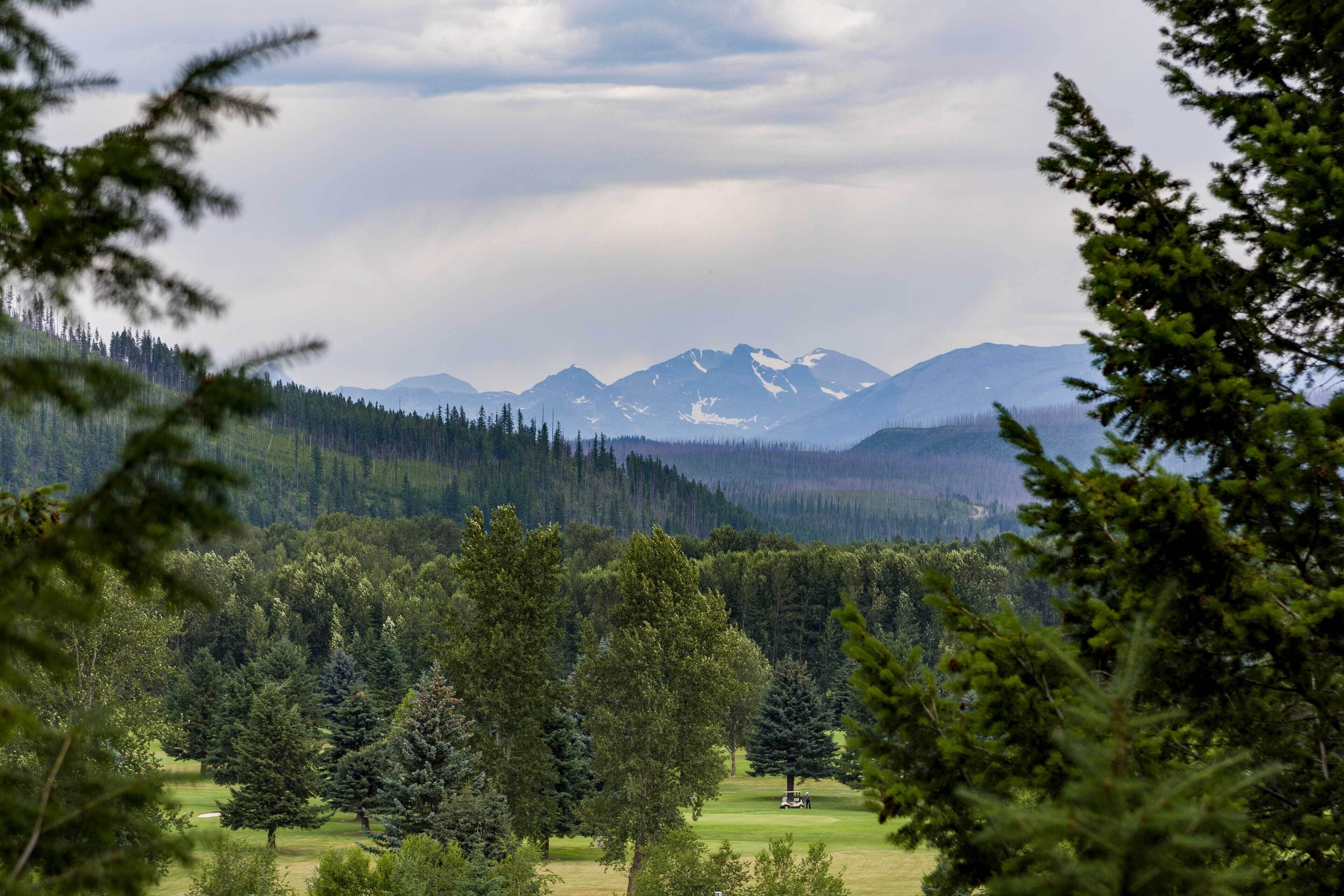 A golf course with a view of snow-capped mountains and dense forest.