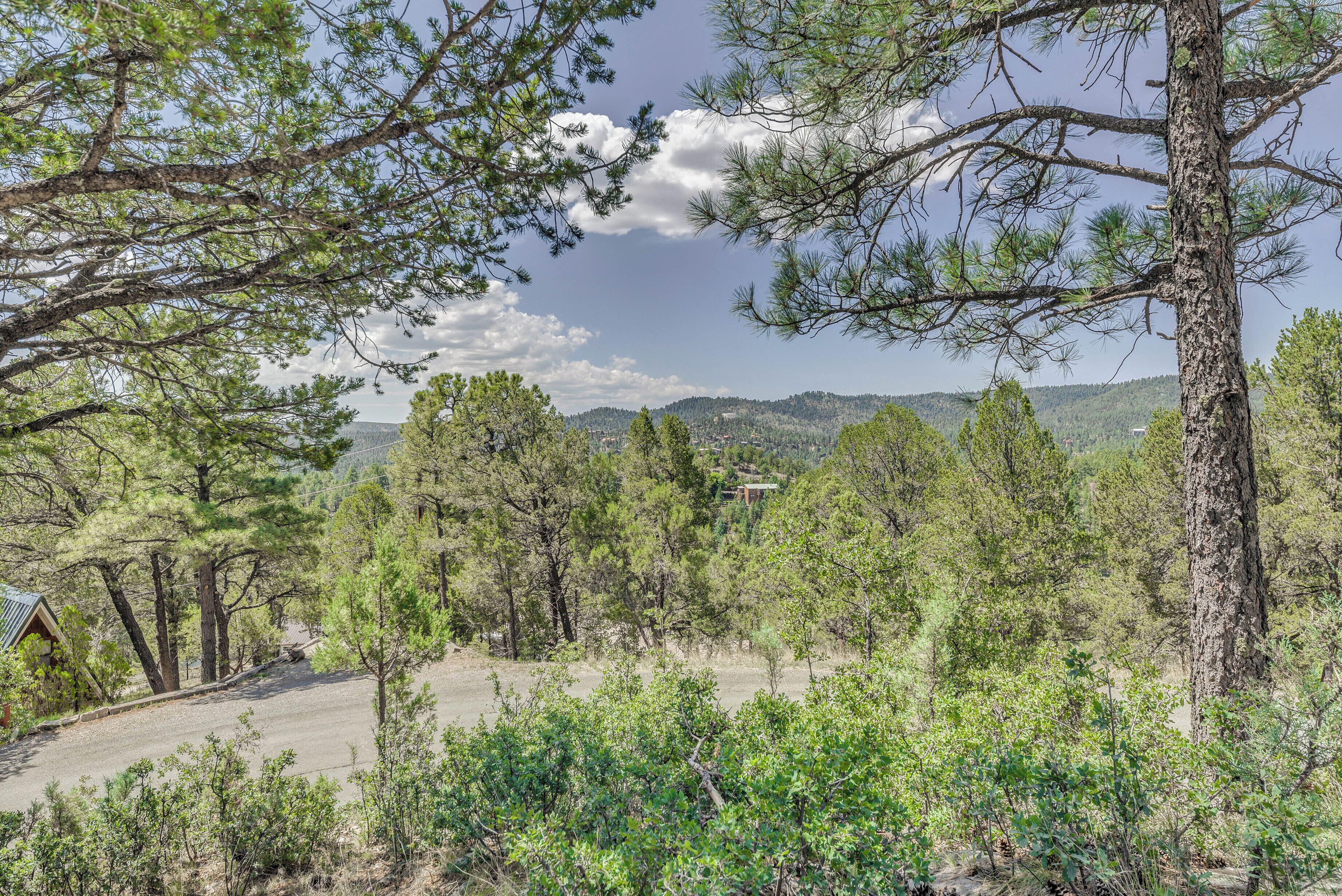 A forested area with a clear sky, a dirt path, and a building with a sloped roof.