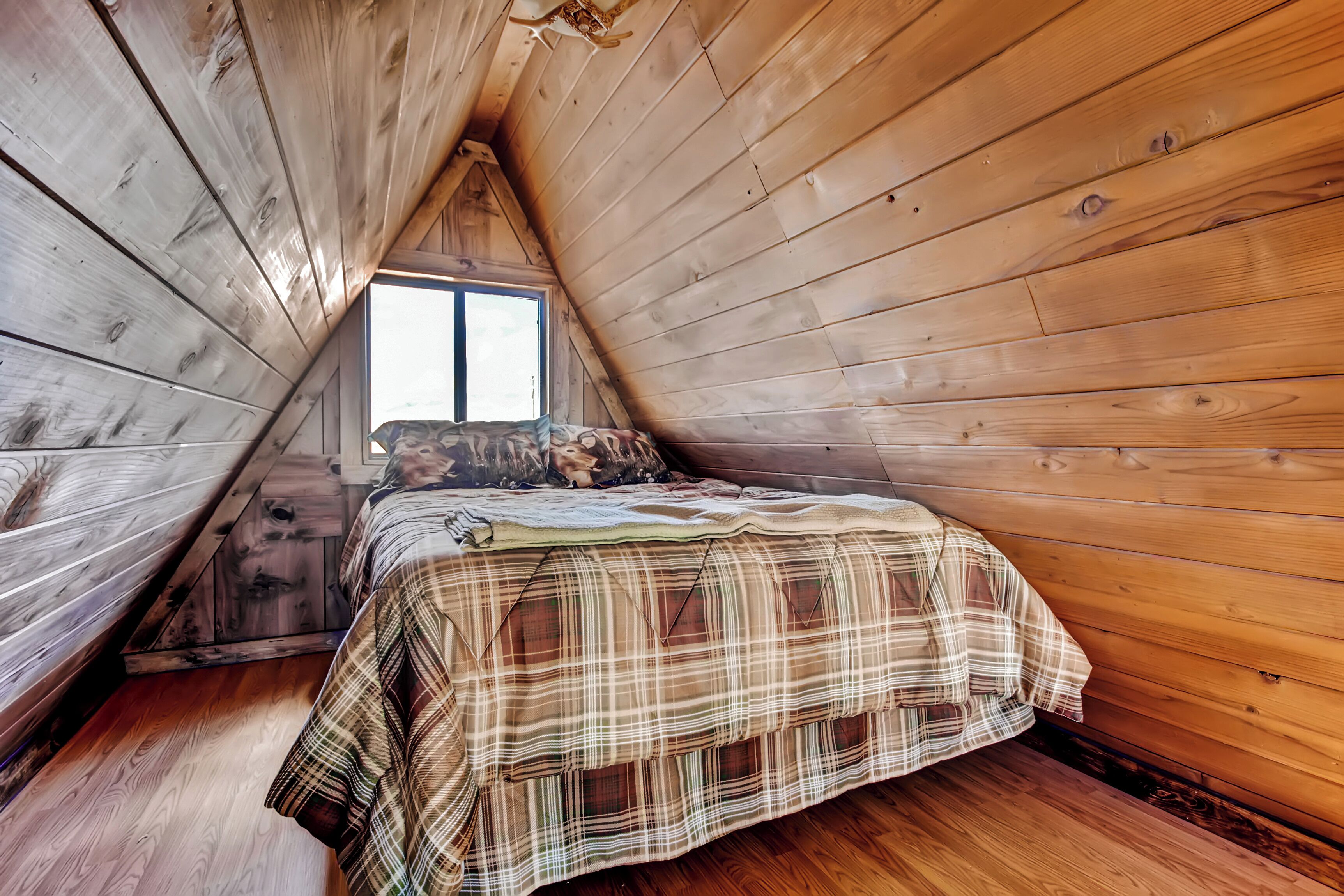 House (1 Bedroom) | Interior