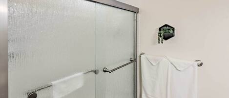 Une salle de bain avec une porte de douche en verre dépoli, un porte-serviettes avec deux serviettes blanches et une petite plante en pot accrochée au mur.