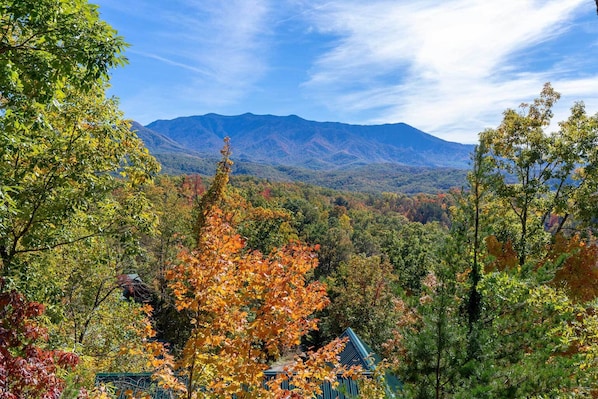 Casa (1 Bedroom) | Parte interna