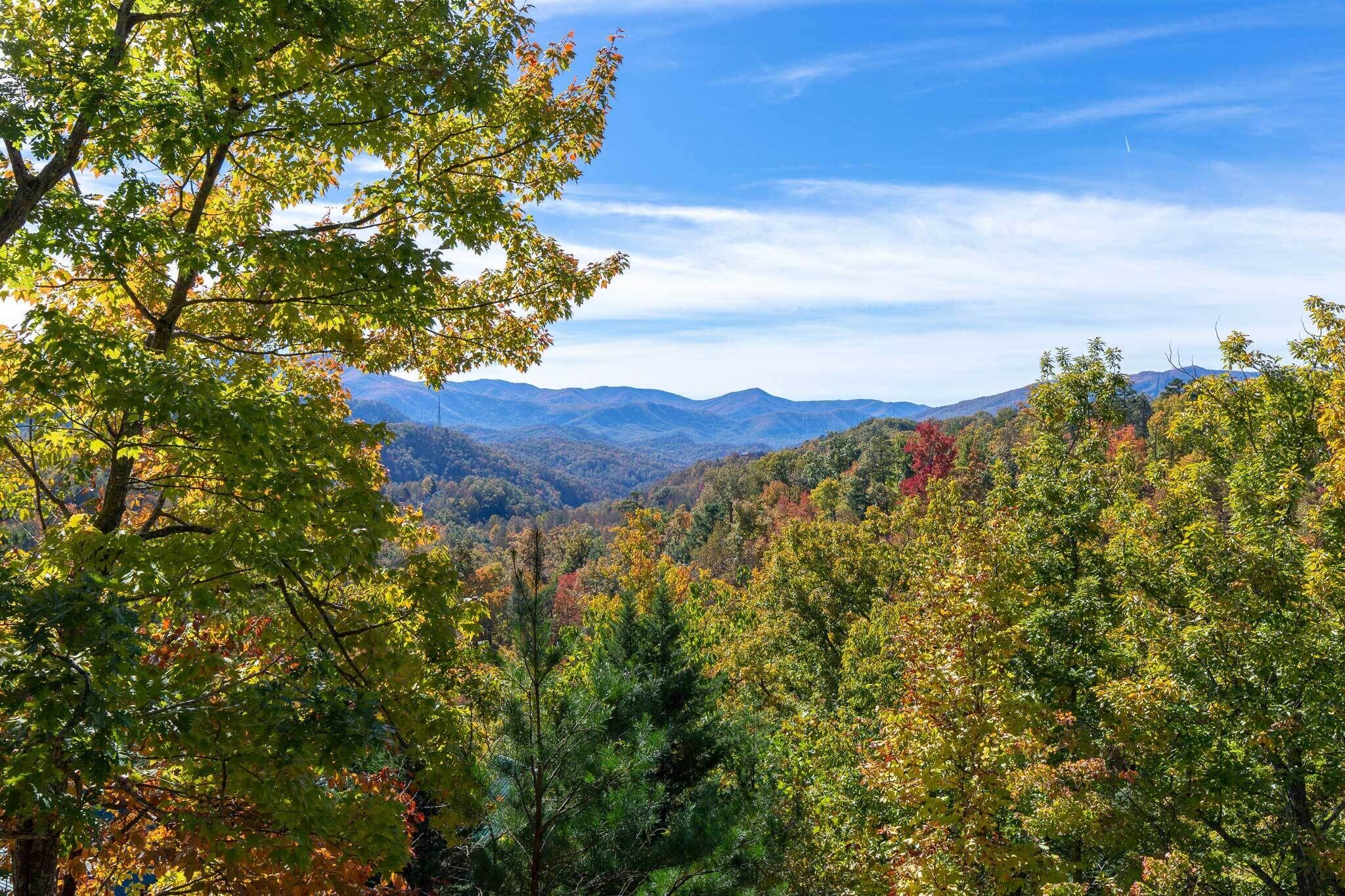 A mountainous landscape with dense forest and autumn foliage.
