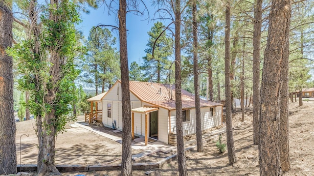 A cabin surrounded by tall pine trees, with a wooden deck and a metal roof. - Ruidoso Cabin - Walk to Local Park + Downtown (Ruidoso)