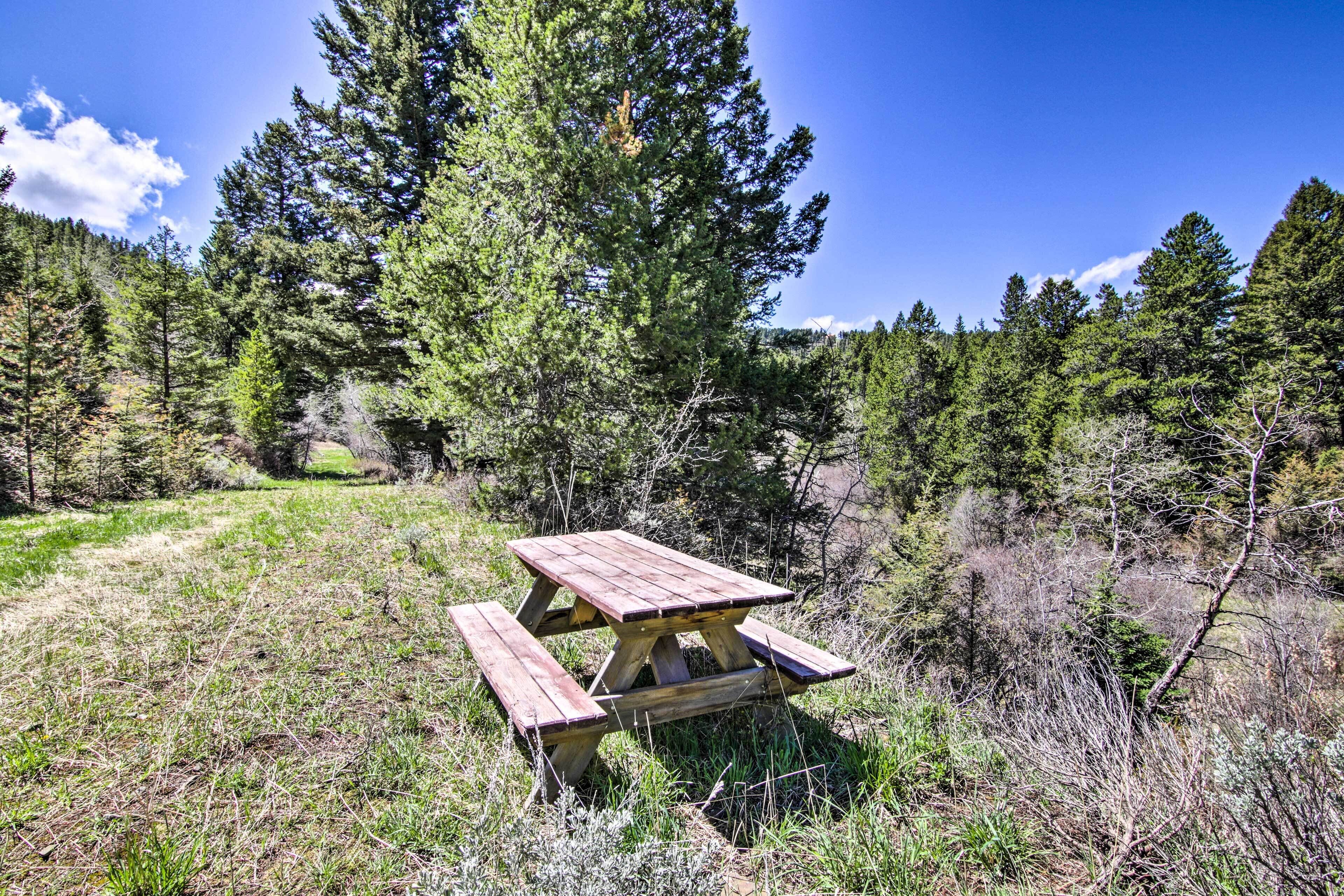 Ein Picknicktisch in bewaldeter Landschaft unter blauem Himmel.