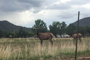 House (3 Bedrooms) | Interior - 'lakeside Traditions' Arizona Home w/ Game Room! (Lakeside)