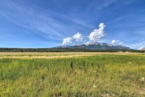 House (3 Bedrooms) | Interior - 2 Mi to Hot Springs: Nathrop Gem w/ Fire Pit (Nathrop)