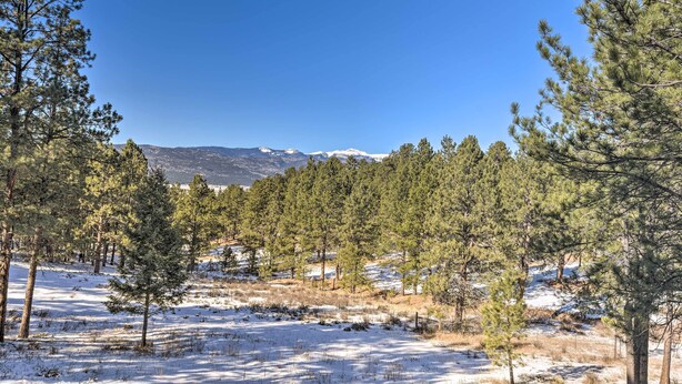 A snowy landscape with pine trees and distant mountains.
