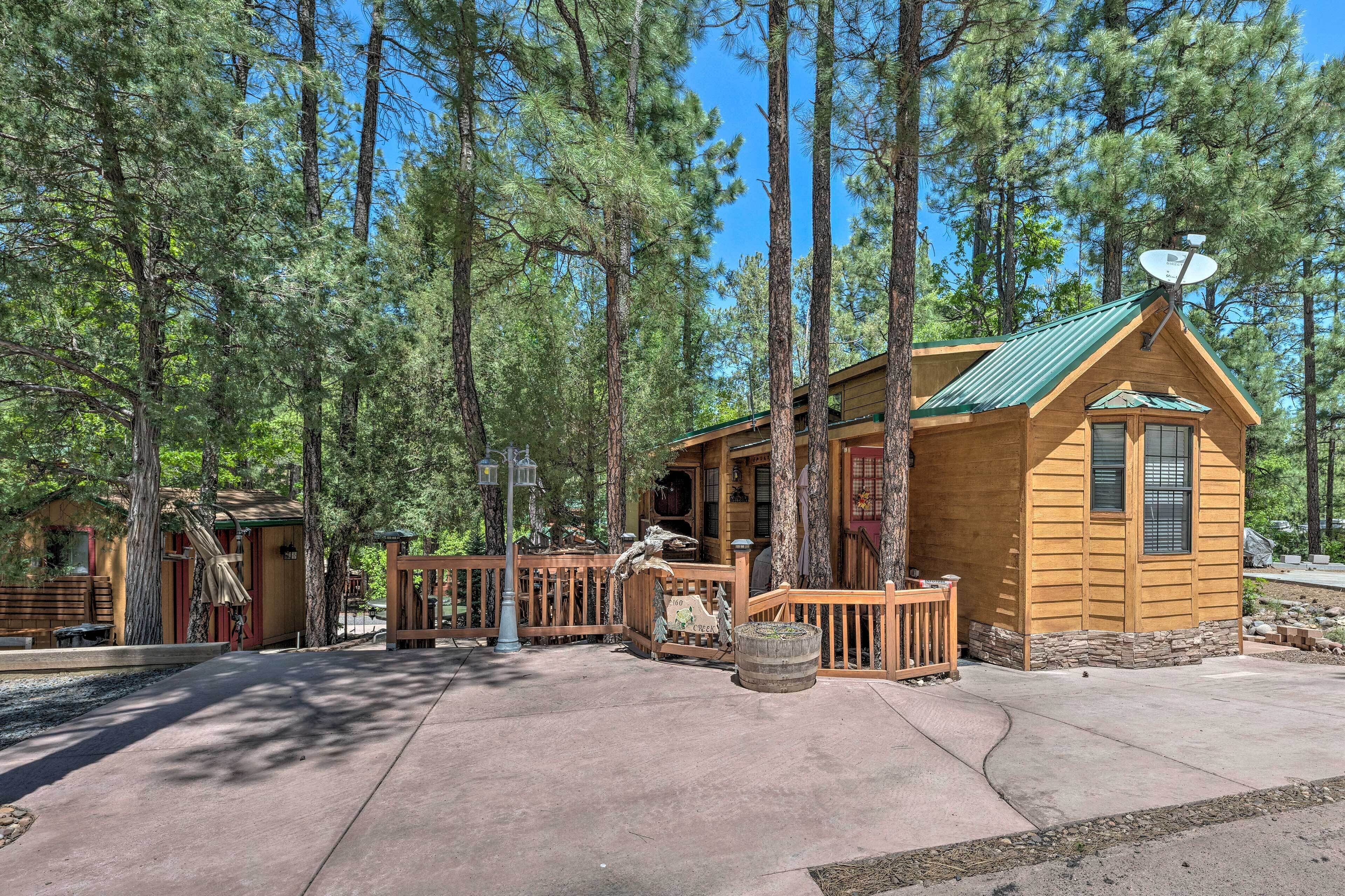 A cabin with a green roof, surrounded by tall pine trees, and a concrete pathway leading to it.