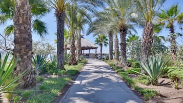 Departamento (2 Bedrooms) | Interior