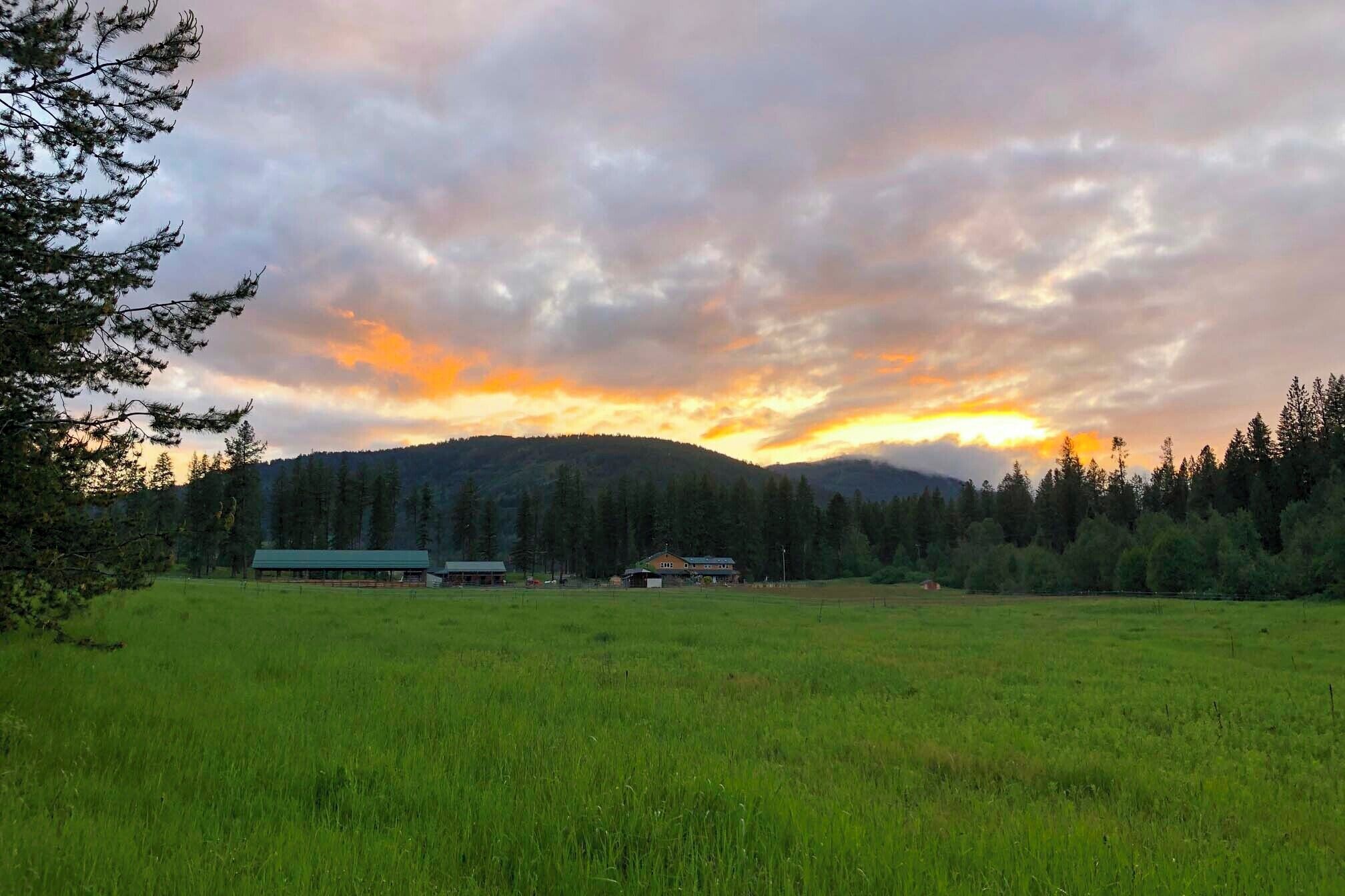 A rural landscape with a field, a small building, and a forested hill in the background.