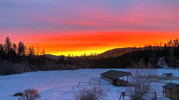 House (1 Bedroom) | Interior