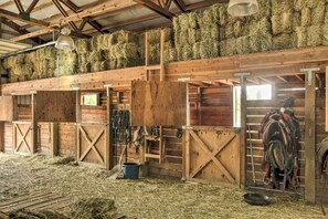 Ferienhaus (1 Bedroom) | Innenbereich