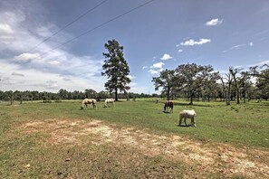 Casa (1 Bedroom) | Parte interna