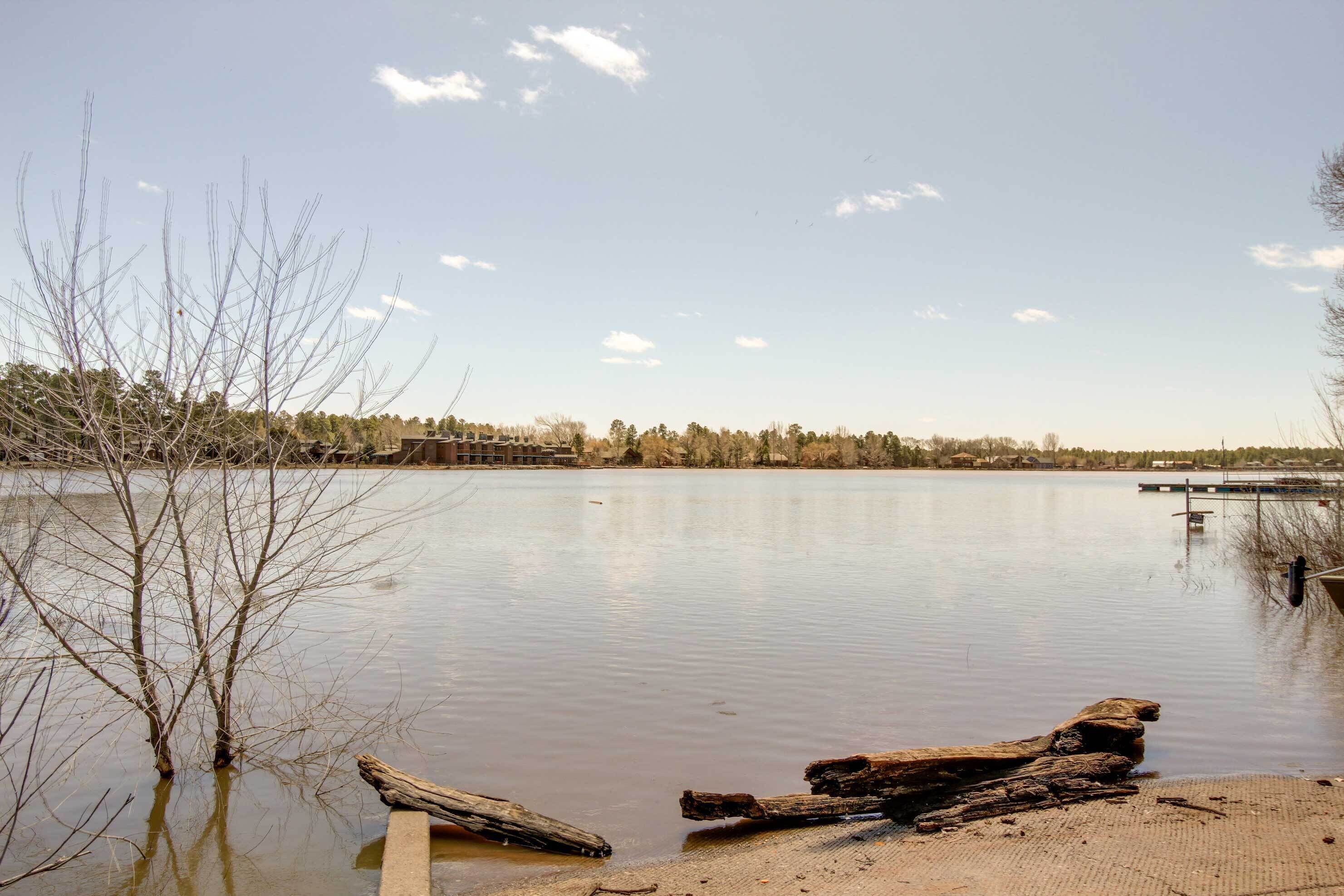 Un lago tranquilo con un muelle, árboles y un cielo despejado.