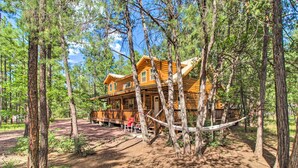 A log cabin with a porch and a hammock, surrounded by tall trees and a dirt path. - 1 Mi to Lake: Chic Arizona Cabin w/ Large Porch! (Lakeside)