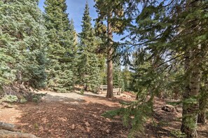 A forested area with a bench and a path. - Duck Creek Village Cabin w/ Deck on Half Acre (Duck Creek Village)
