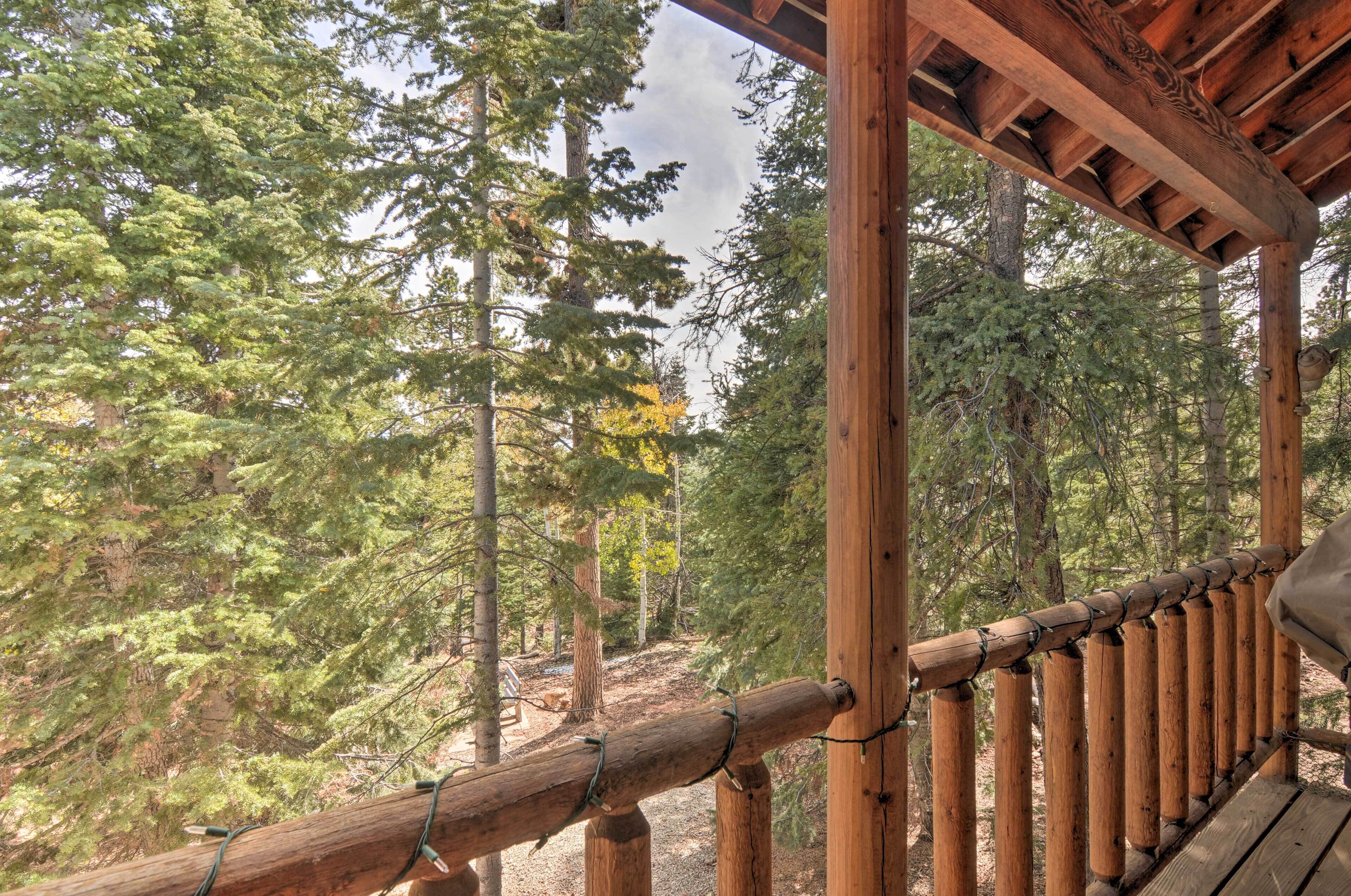 Casa (5 Bedrooms) | Interior