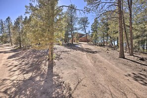 A dirt path leading to a building surrounded by pine trees.