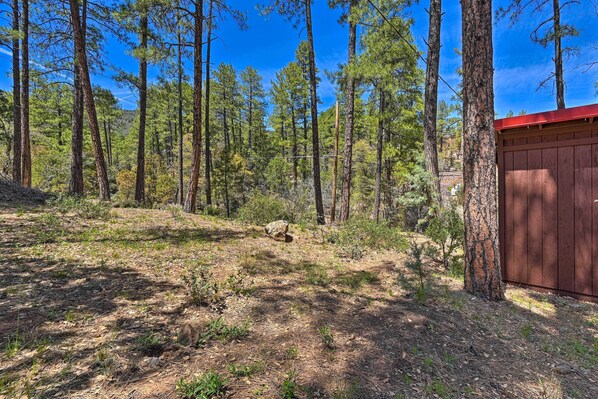 House (3 Bedrooms) | Interior - Cabin in Tonto National Forest: Deck & Views! (Pine)