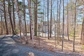 A forested area with a gravel path leading to a house.