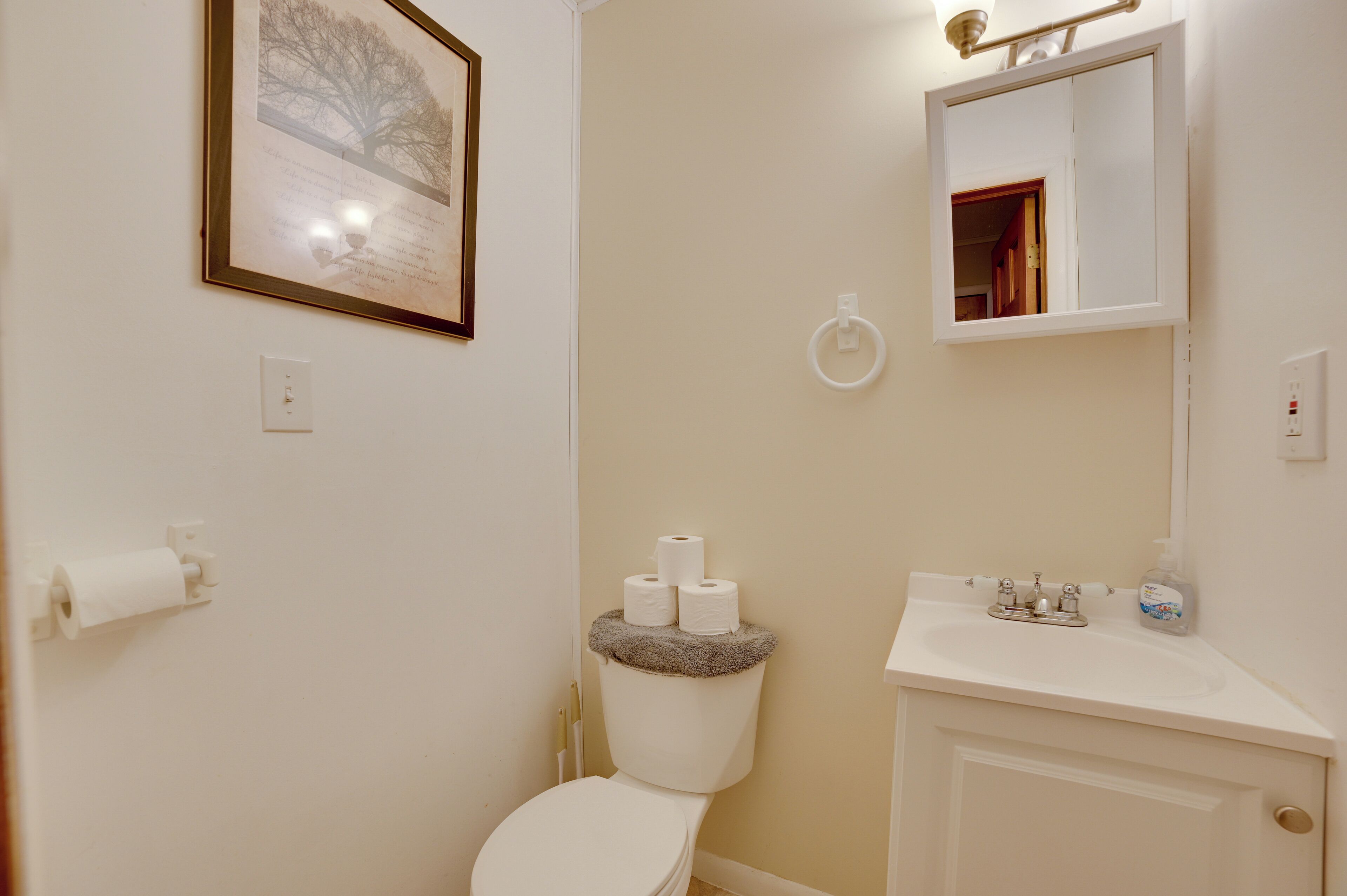 Ein Badezimmer mit Toilette, Waschbecken und Spiegel. An der Wand hängt ein gerahmtes Bild, und auf der Toilette liegt eine Toilettenpapierrolle.