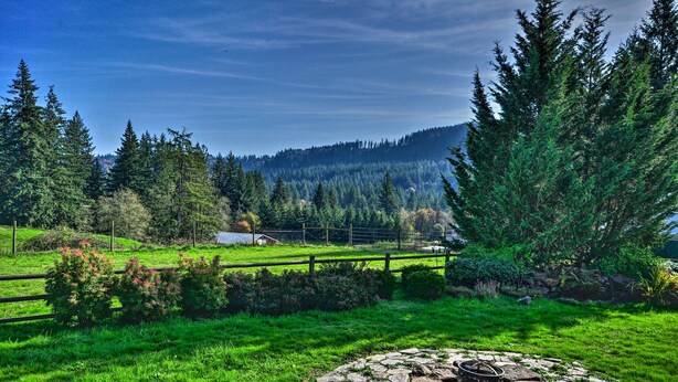 A rural landscape with a stone fire pit, a wooden fence, and a variety of trees including conifers and deciduous shrubs. - Peaceful, Pet-friendly Washougal Paradise! (Washougal)
