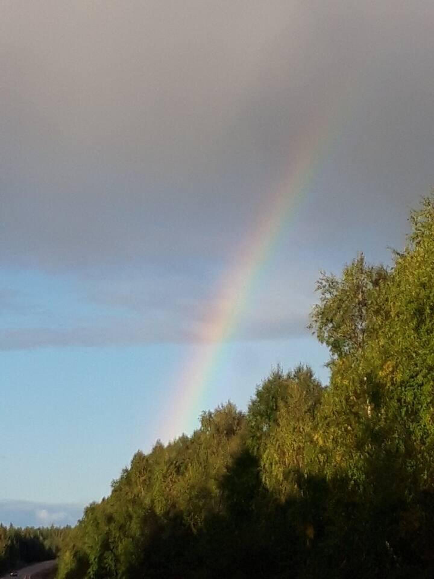 A road curving through a forest with a rainbow in the sky.