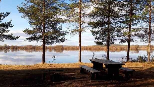 Una mesa de picnic junto a un lago tranquilo rodeado de árboles altos.