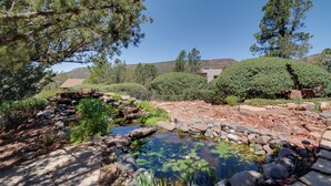 Un jardín ajardinado con un estanque, rocas y diversas plantas.