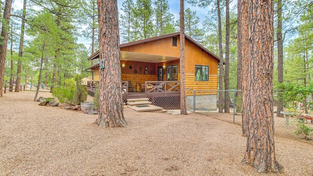 A cabin with a porch and steps leading to the entrance, surrounded by tall pine trees. - 10 Mi to Show Low: Pinetop-lakeside Family Cabin! (Lakeside)