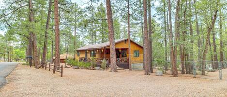 A lodge with a wooden exterior, surrounded by tall pine trees, and a gravel driveway leading to the entrance.