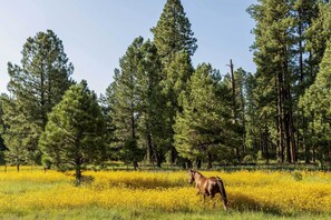 Casa (4 Bedrooms) | Interior