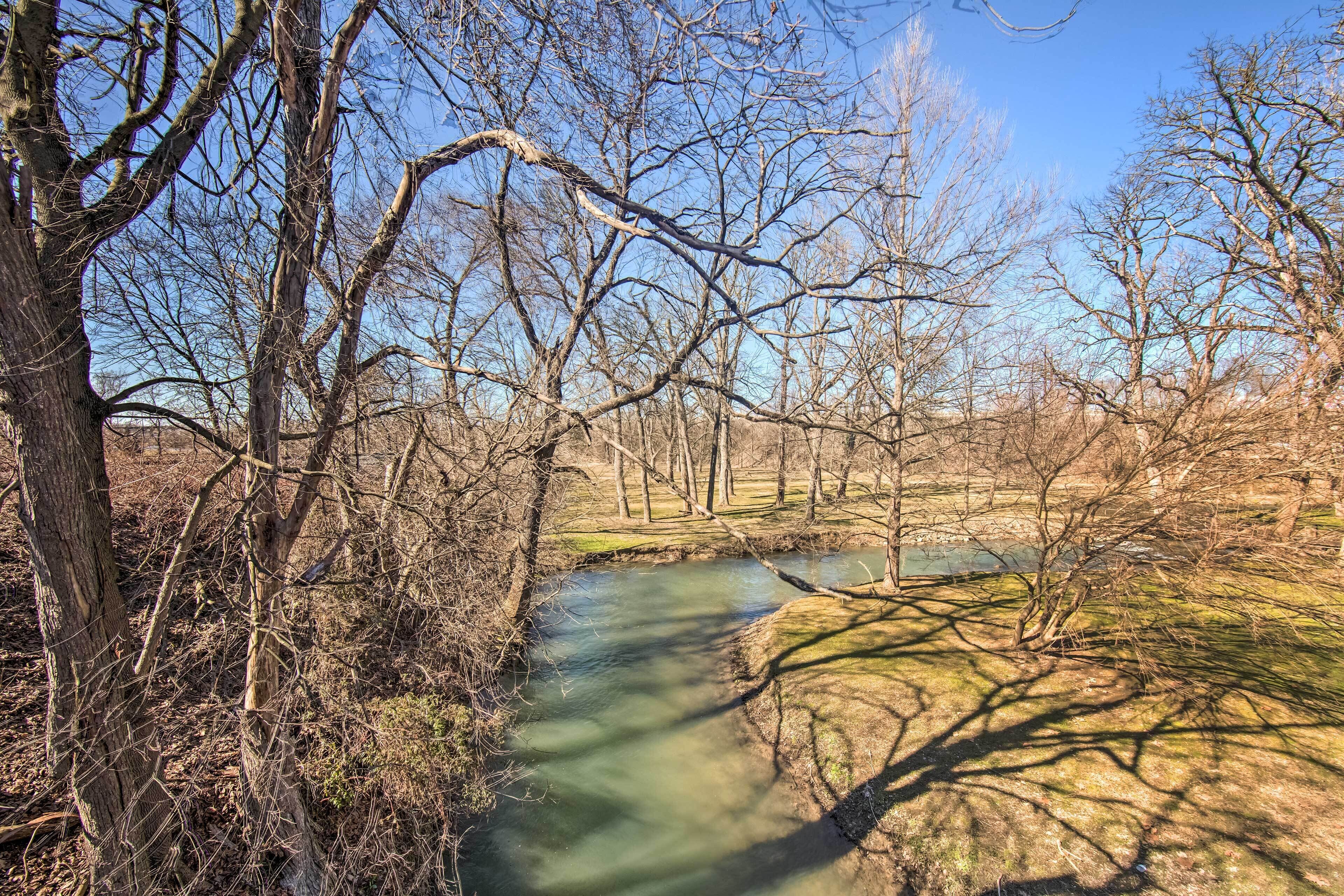 Un río serpentea por una zona boscosa de árboles desnudas bajo un cielo despejado.