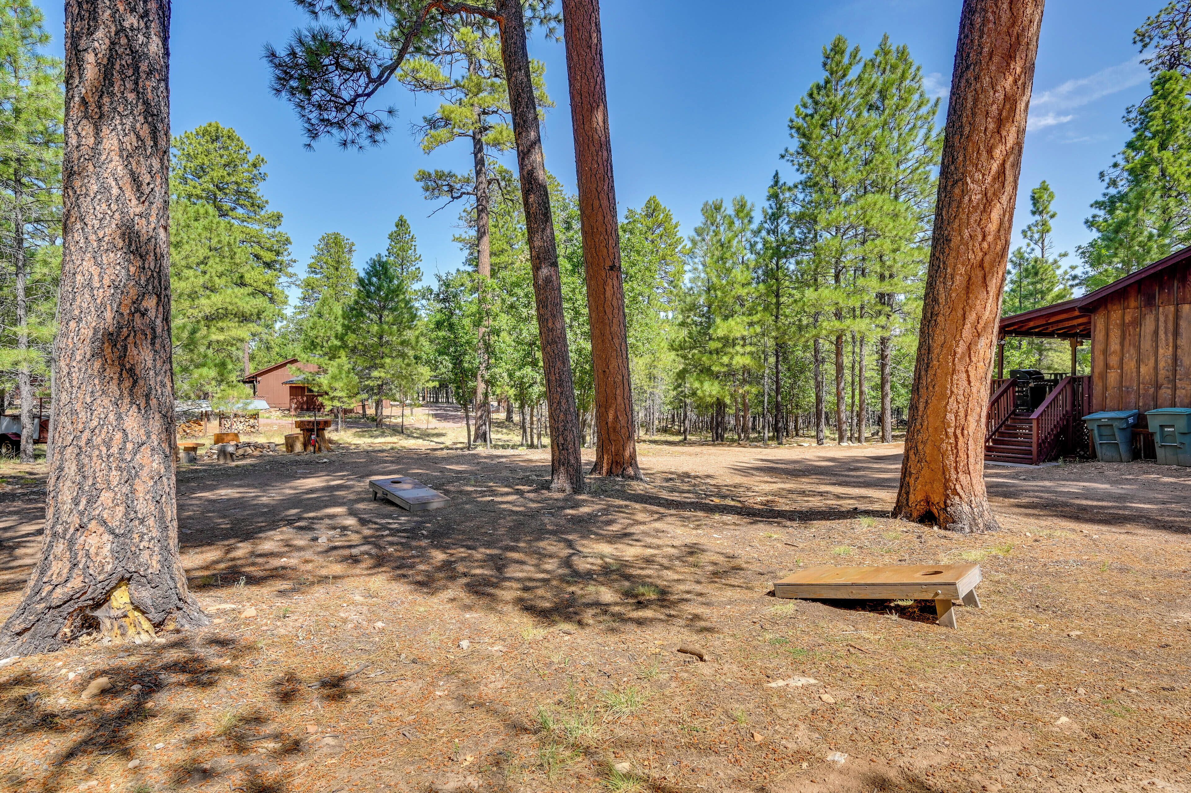 A forested area with tall pine trees, a wooden cabin, and a picnic table.