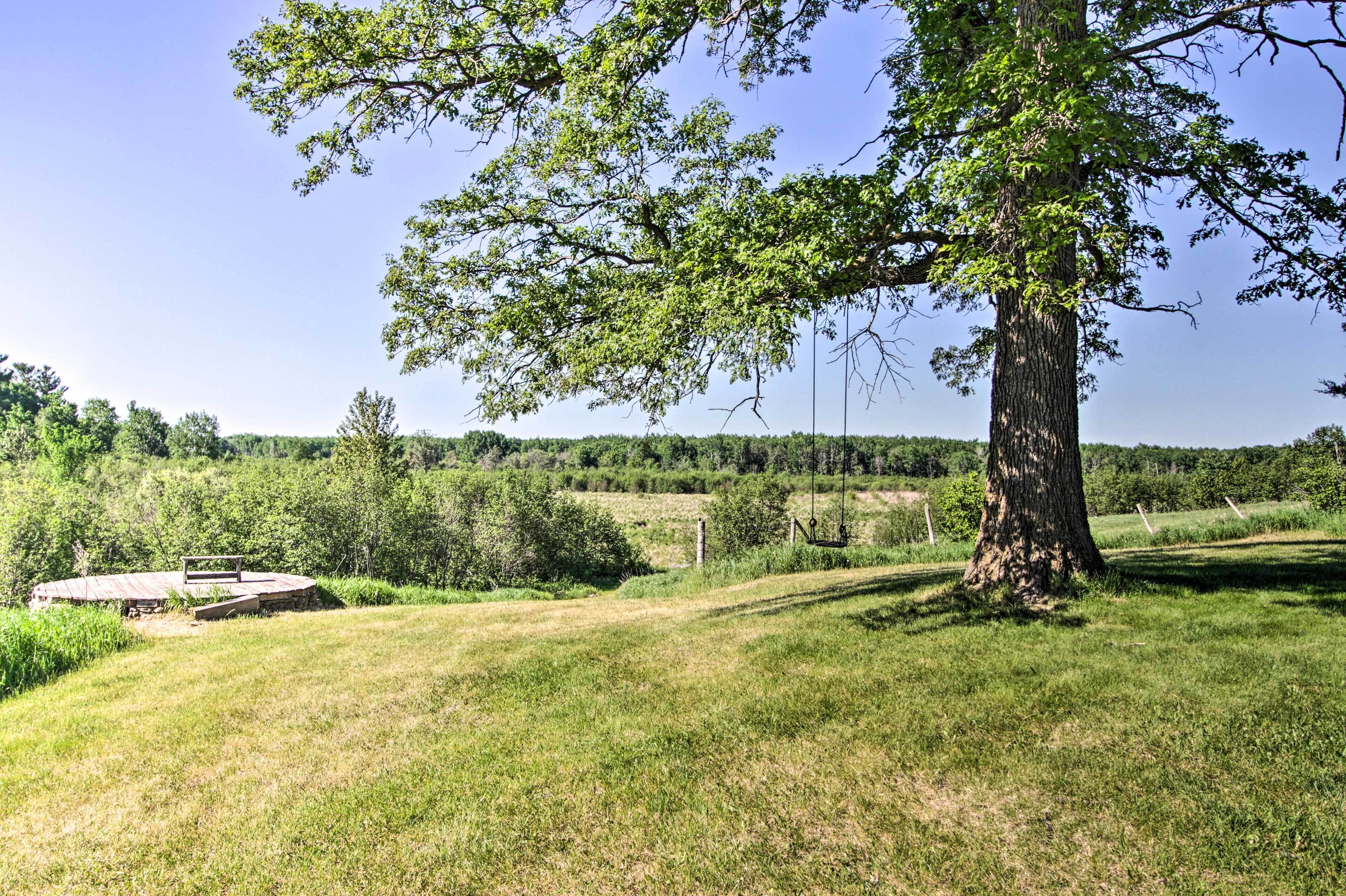 Un árbol grande en un campo de césped con un banco de madera y un columpio.