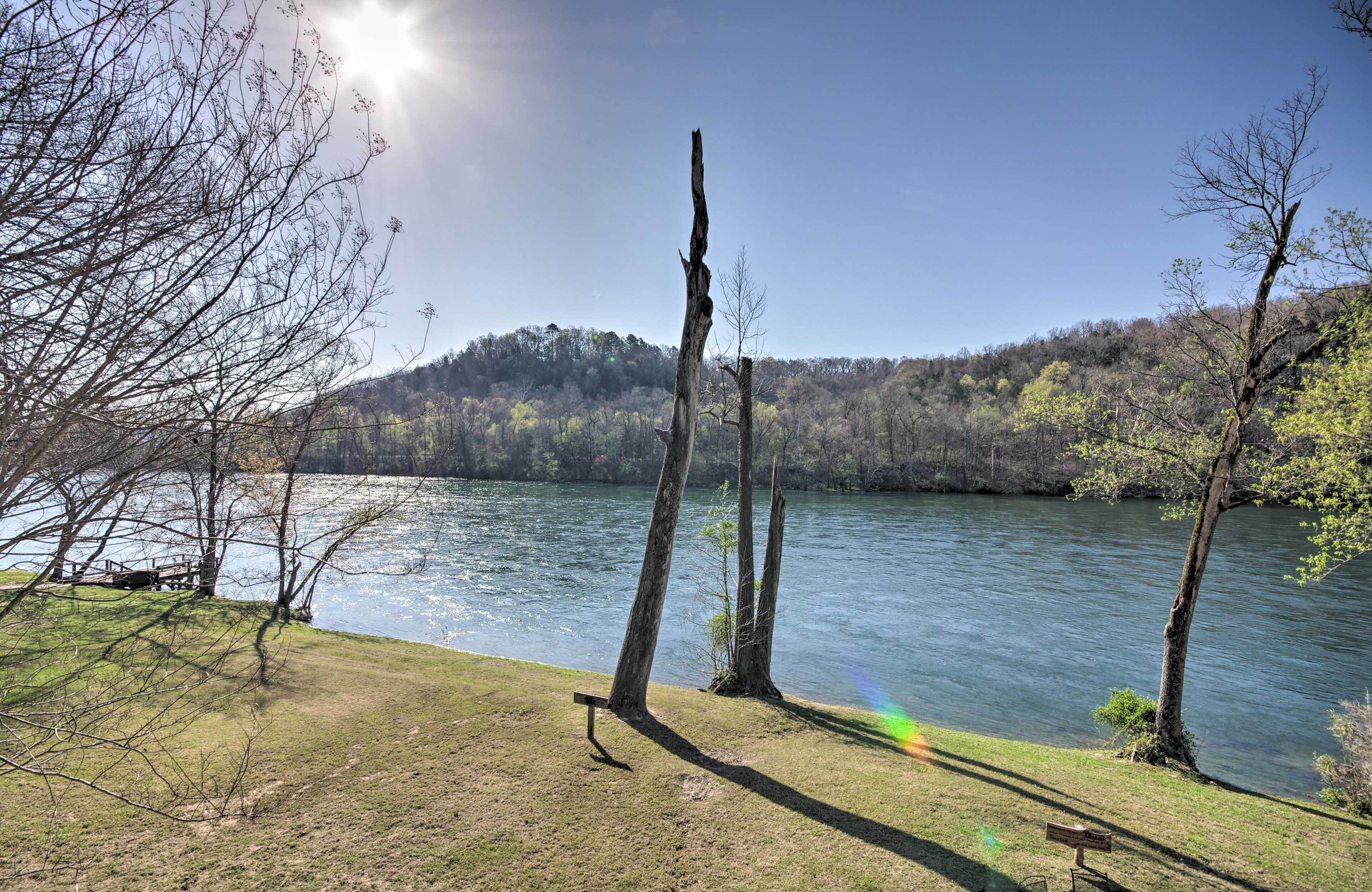 A lakeside view with a bench and trees.