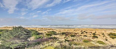 A coastal landscape with dunes and sparse vegetation.