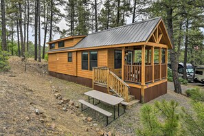 House (1 Bedroom) | Interior - Pagosa Springs Tiny Cabin: Fish, Hike, Ski & Soak! (Pagosa Springs)
