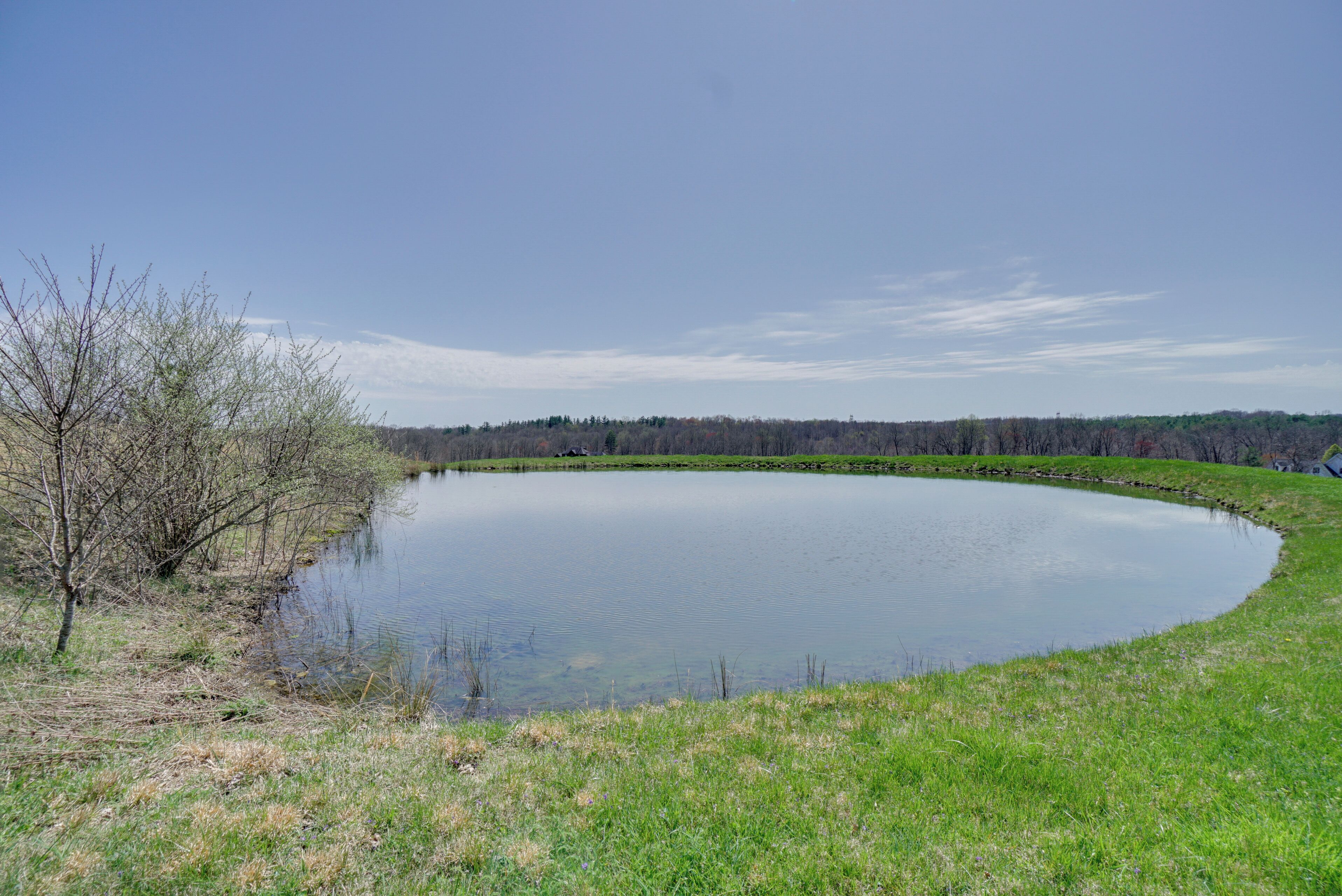 Un lago tranquilo con orilla cubierta de hierba y árboles al fondo.