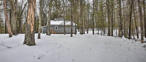 A cabin surrounded by tall trees in a snowy forest.