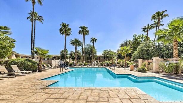 Une piscine avec des chaises longues et des palmiers.