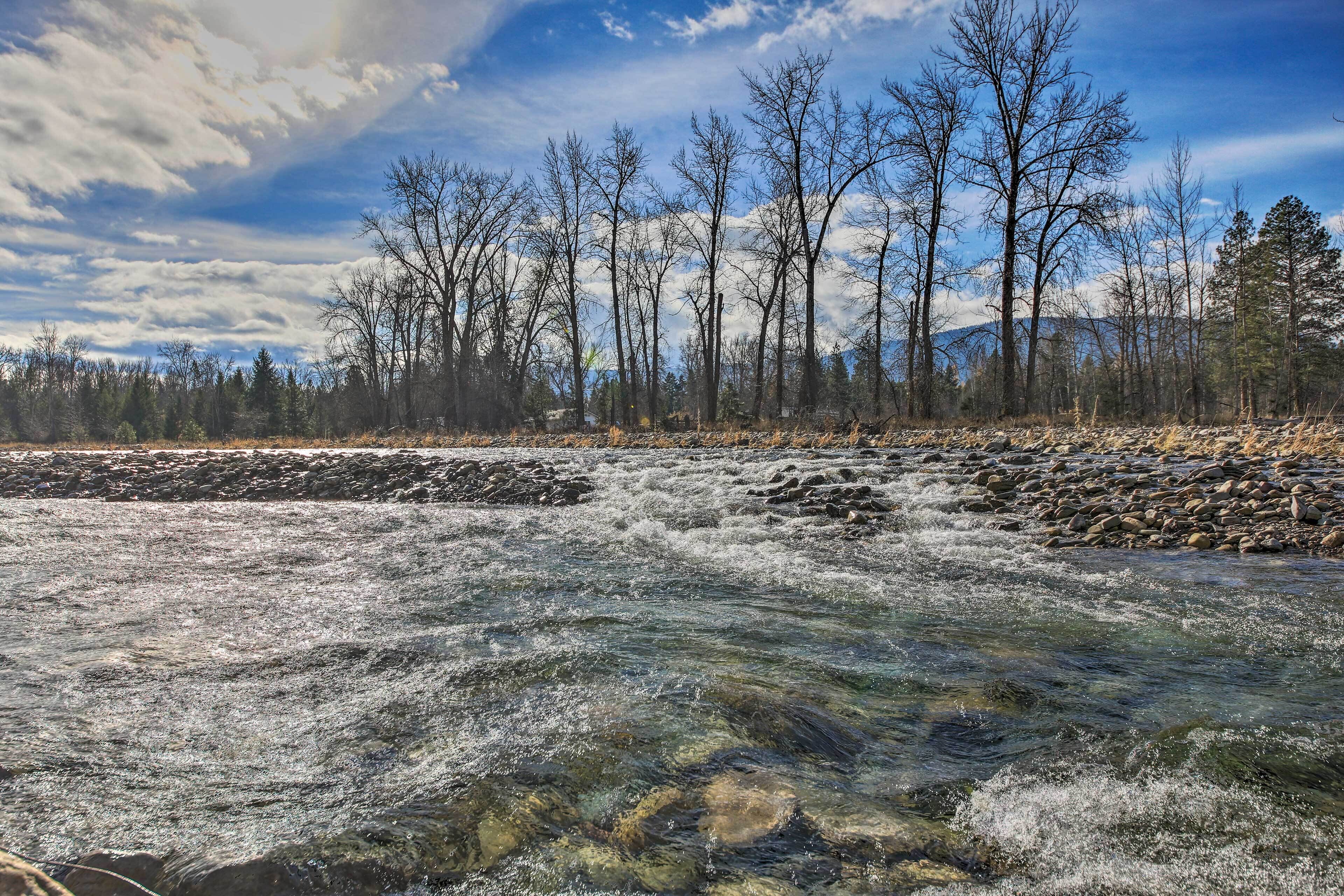 A river with clear water flowing over rocks, surrounded by a forest of leafless trees under a partly cloudy sky.