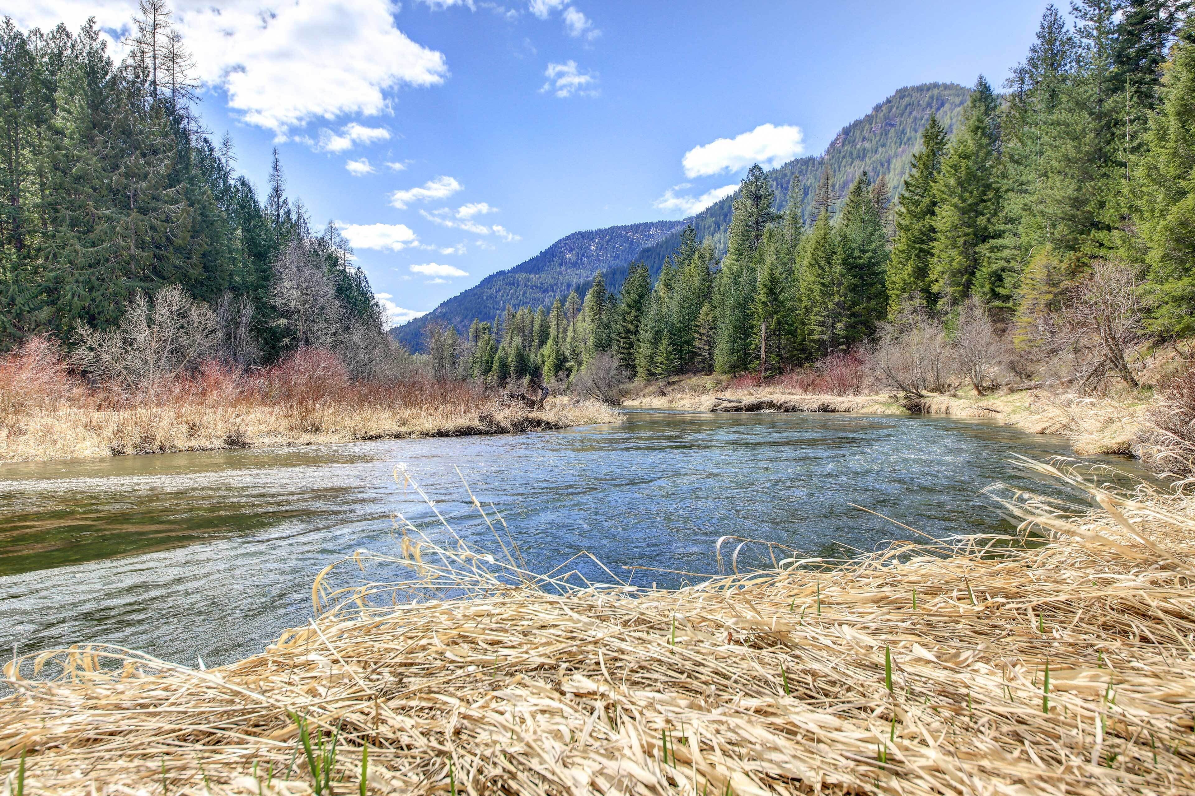 Nhà (3 Bedrooms) | Nội thất