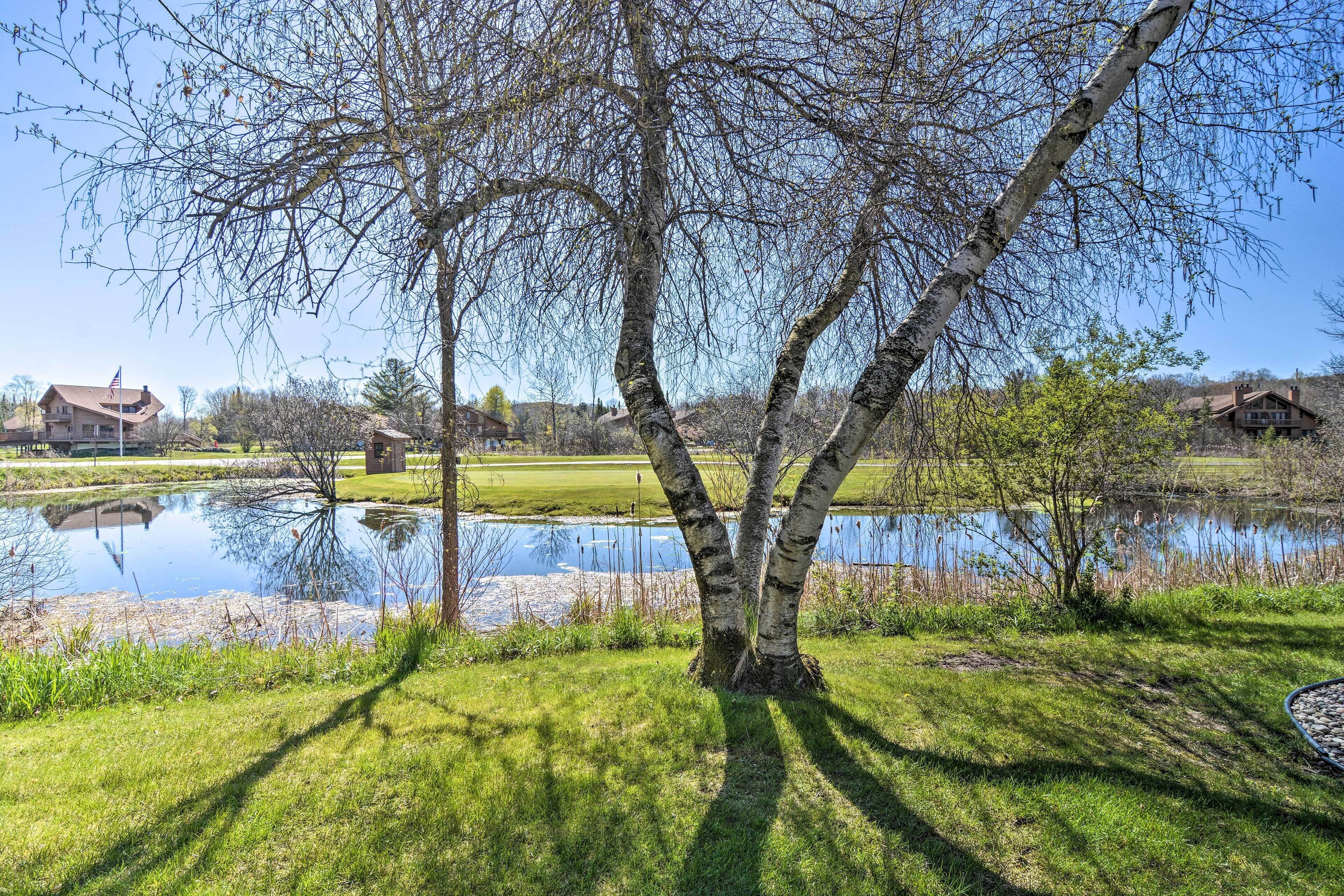 アパートメント (2 Bedrooms) | 内装